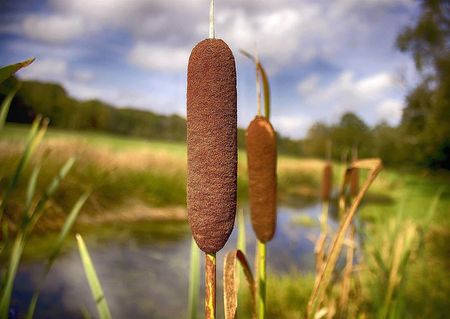 Afwisselende fietsroute rond Heerde
