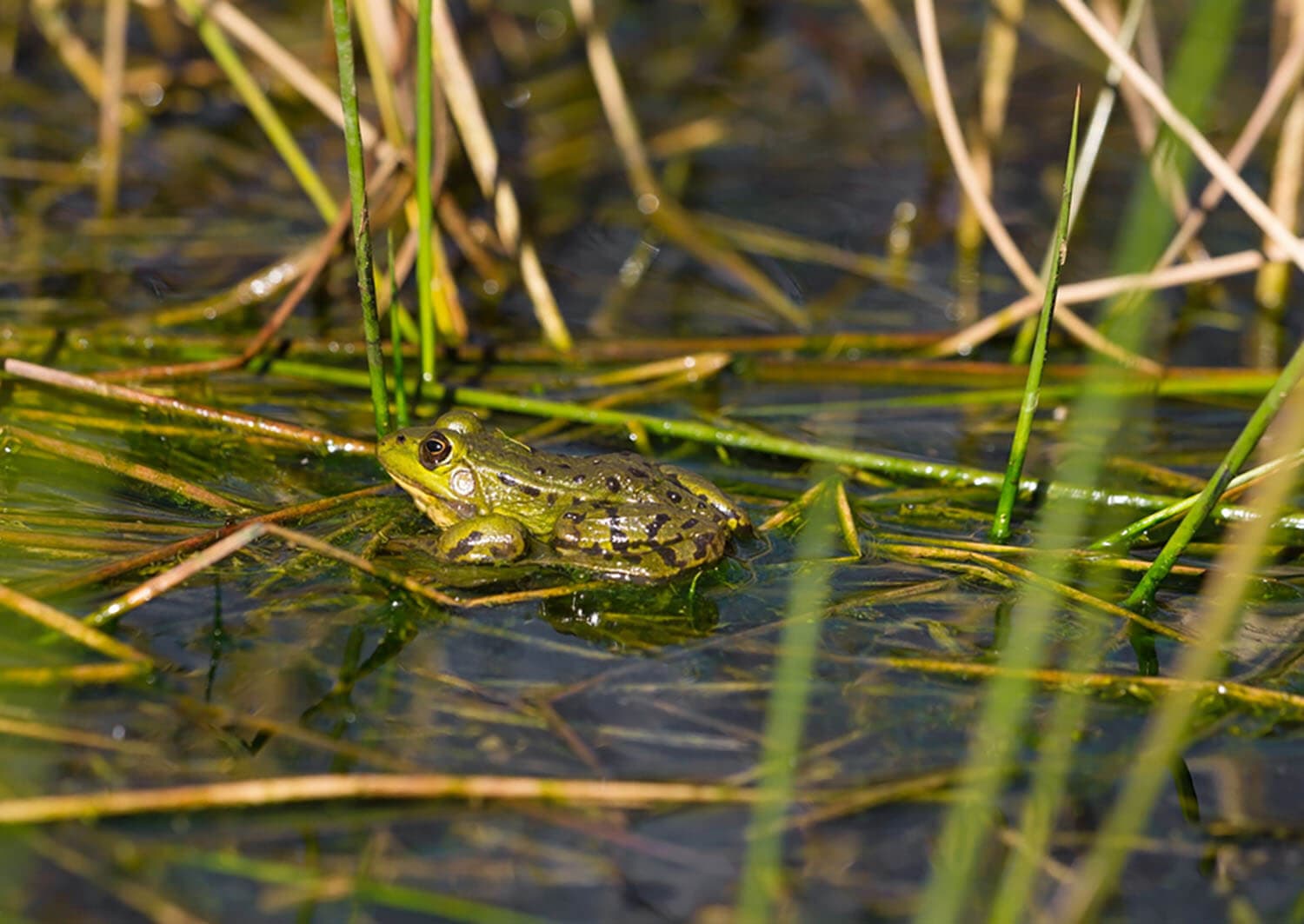Fahrradroute So viel Wasser!