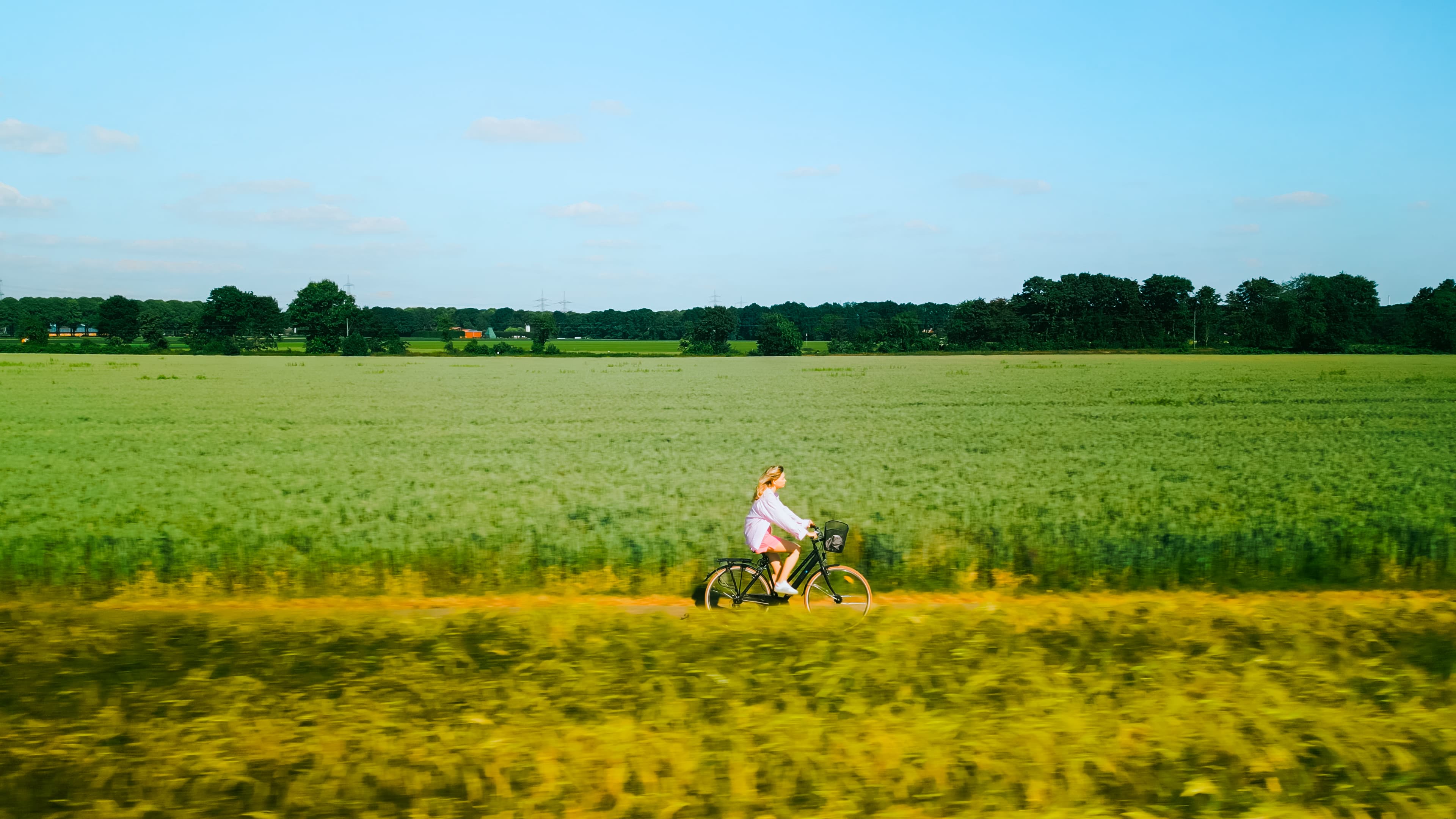 TopParken | Resort Veluwe