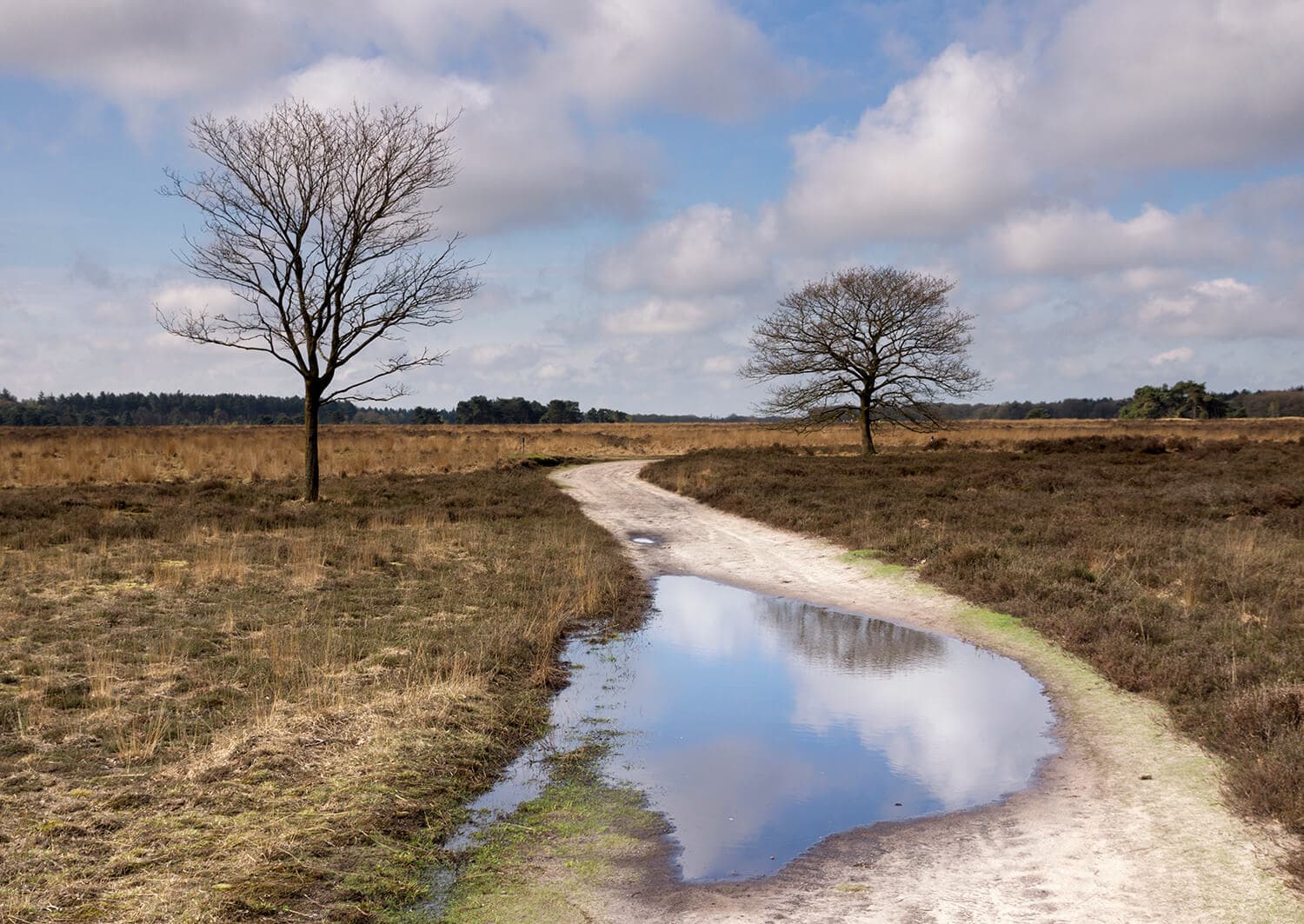 Fahrradroute Safari rund um Tilburg