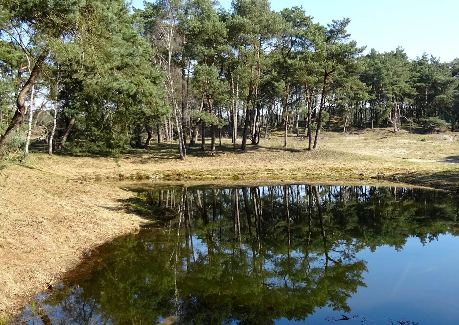 Fahrradroute Natürlich rund um die Mittelspitze!