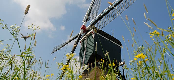 Bonkmolen