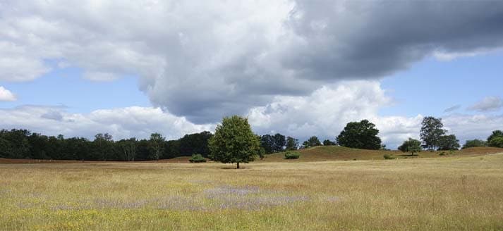 Grafheuvels Half Mijl