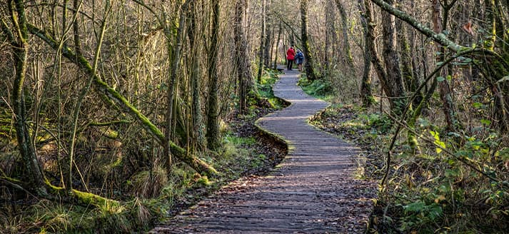 Natuurgebied de Moerputten