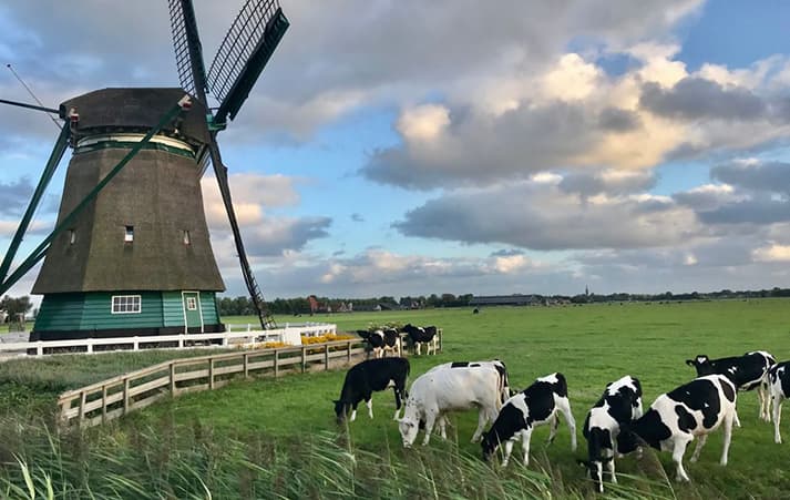 Korenmolen De Nachtegaal
