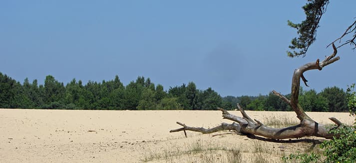 Natuurpoort De Drie Linden