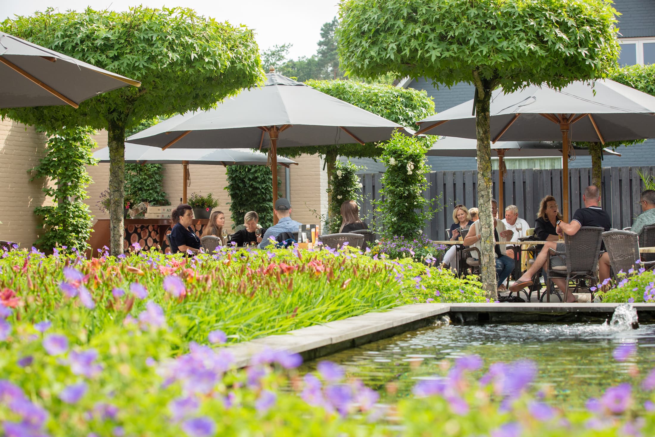 Boscafé Molenvelden