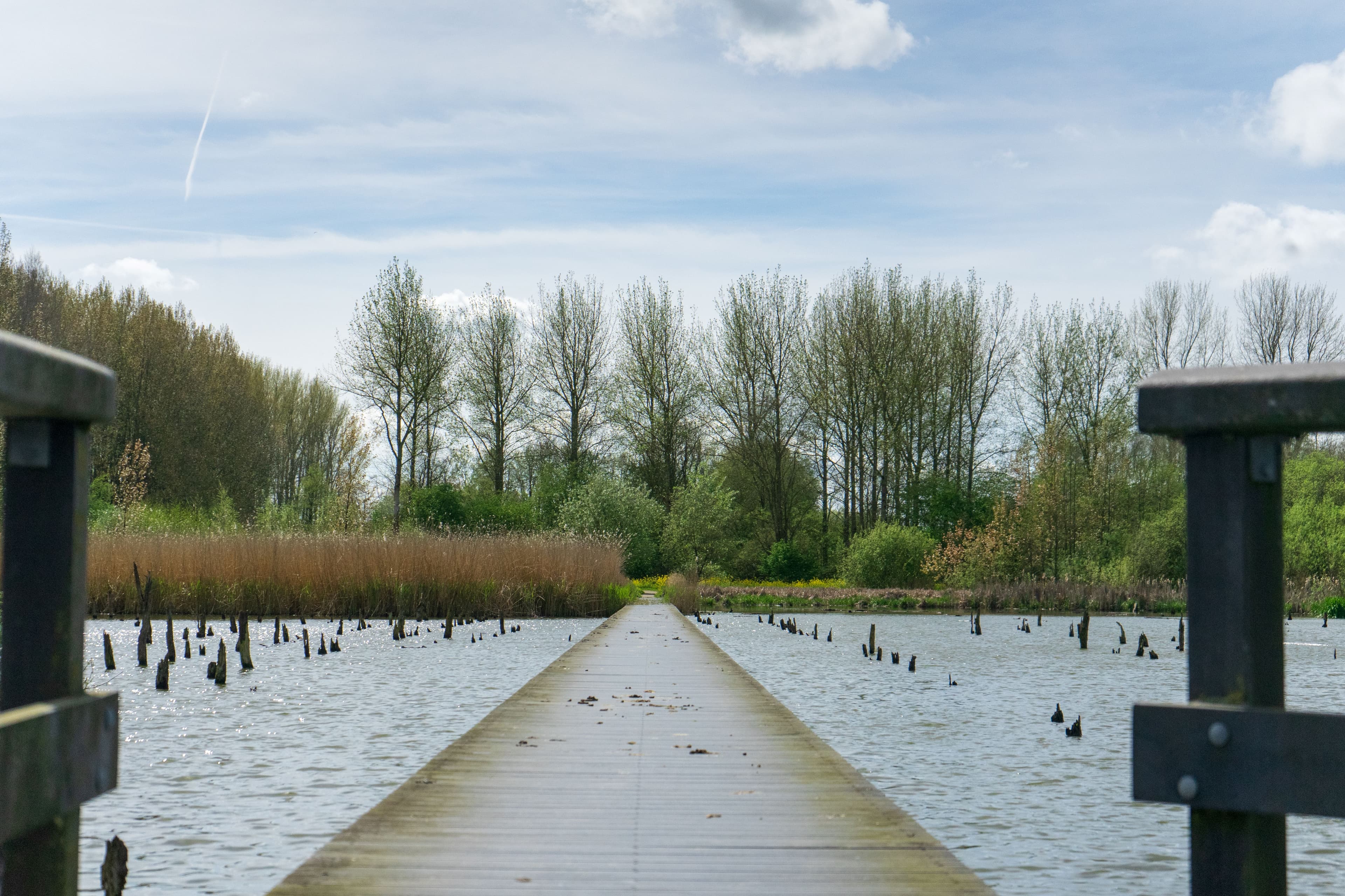 Het Verdronken Bos Tull en 't Waal