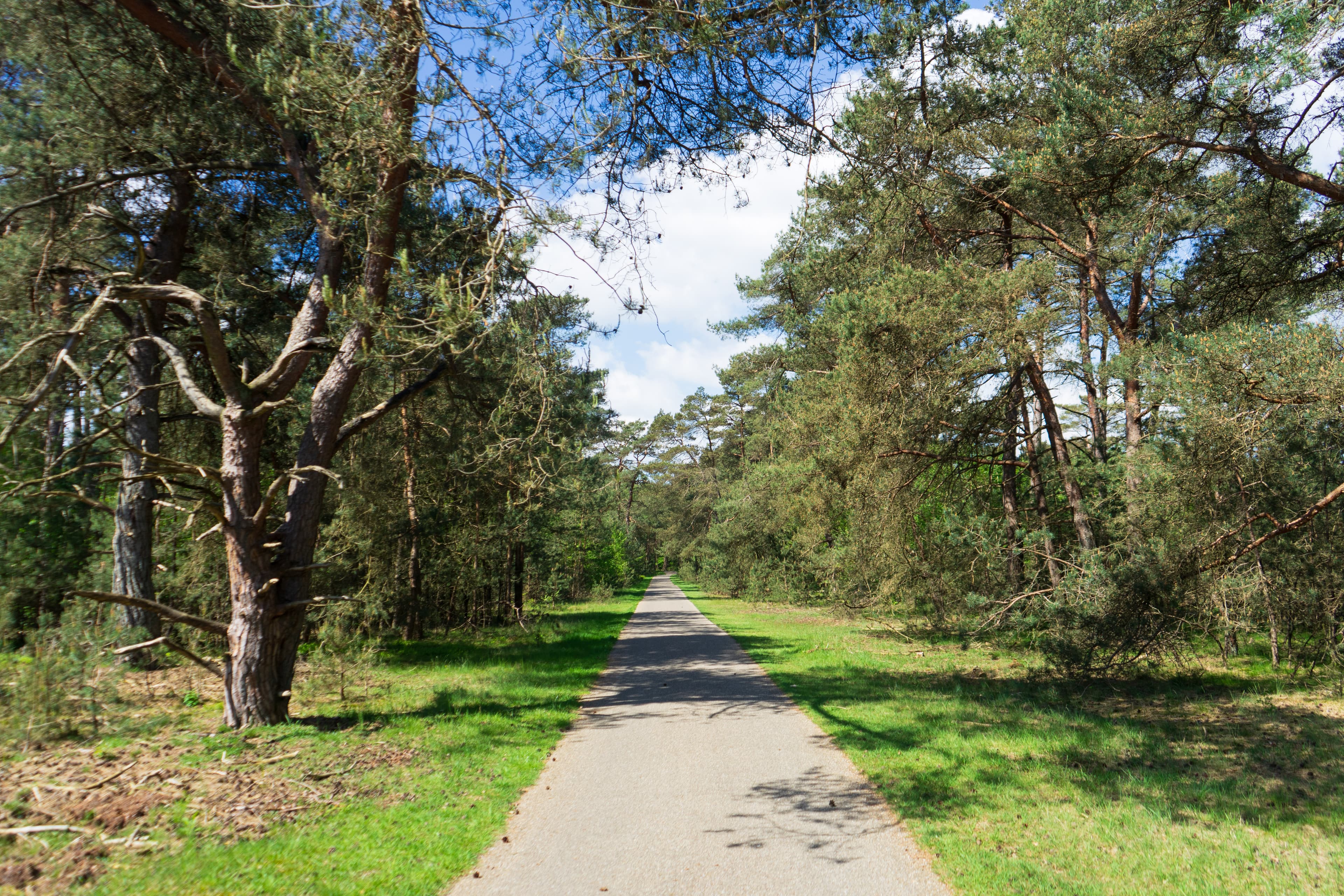Nationaal Park De Hoge Veluwe | ingang Hoenderloo
