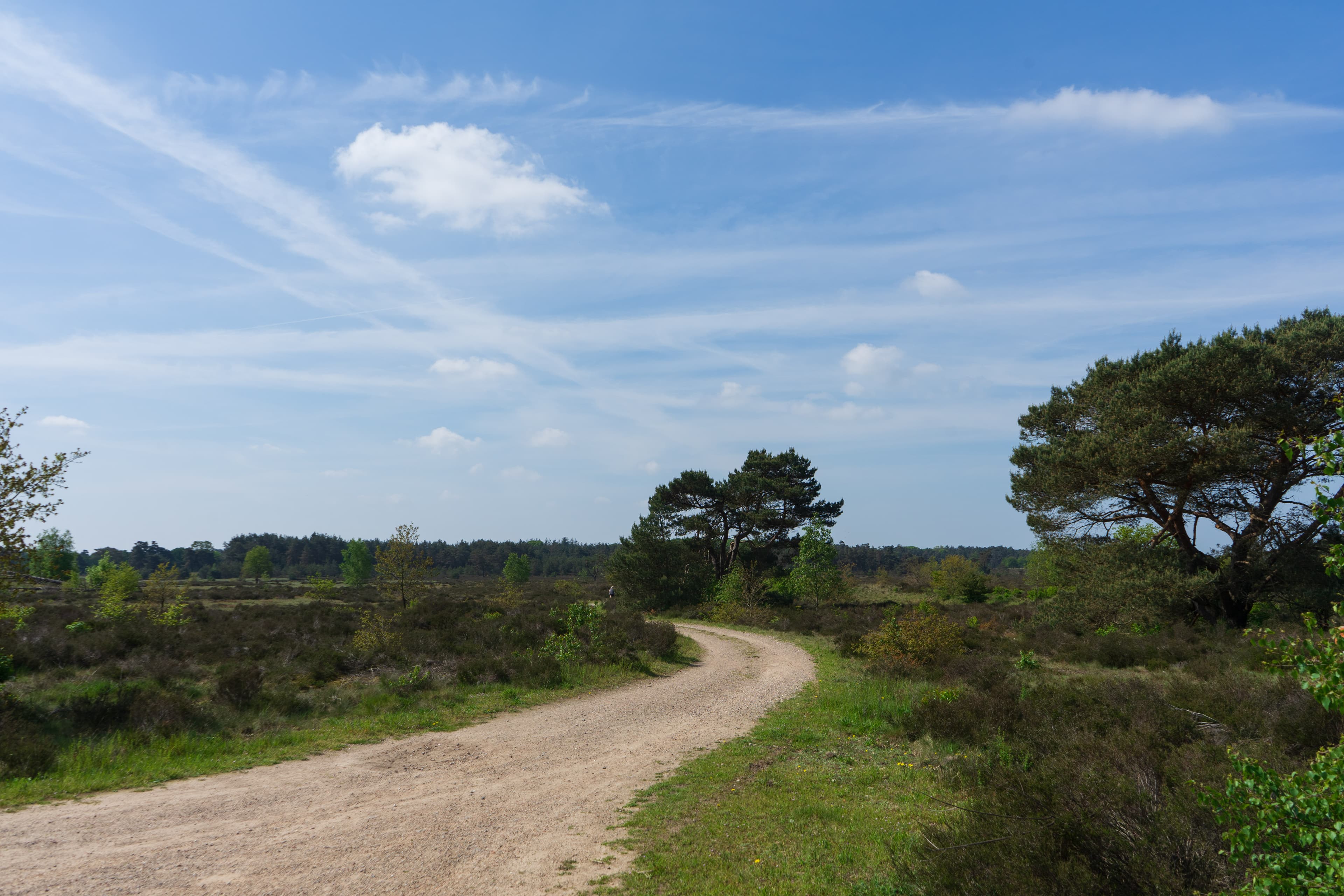 Hoog Buurlose Heide