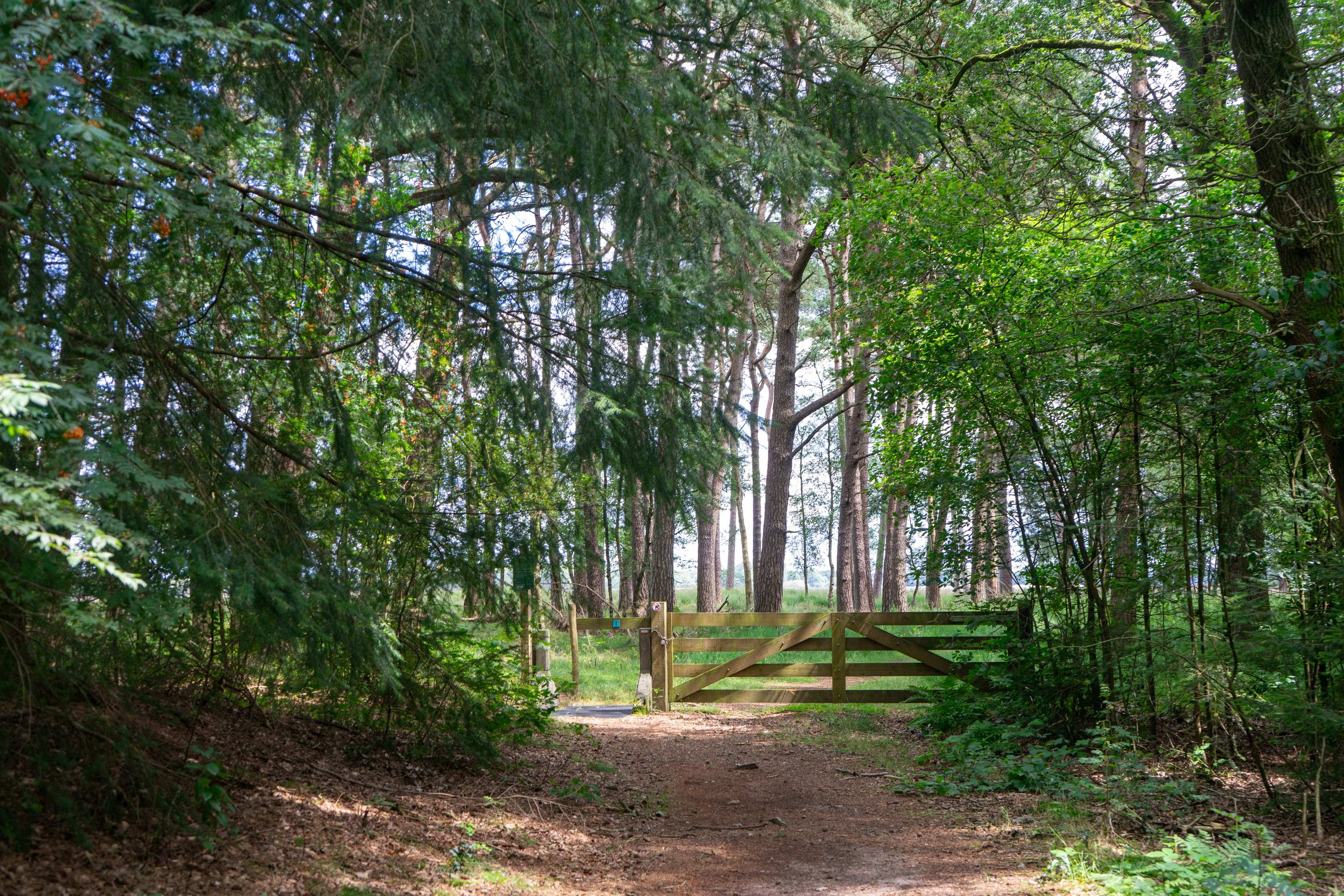 Beeldenroute rond Emmen