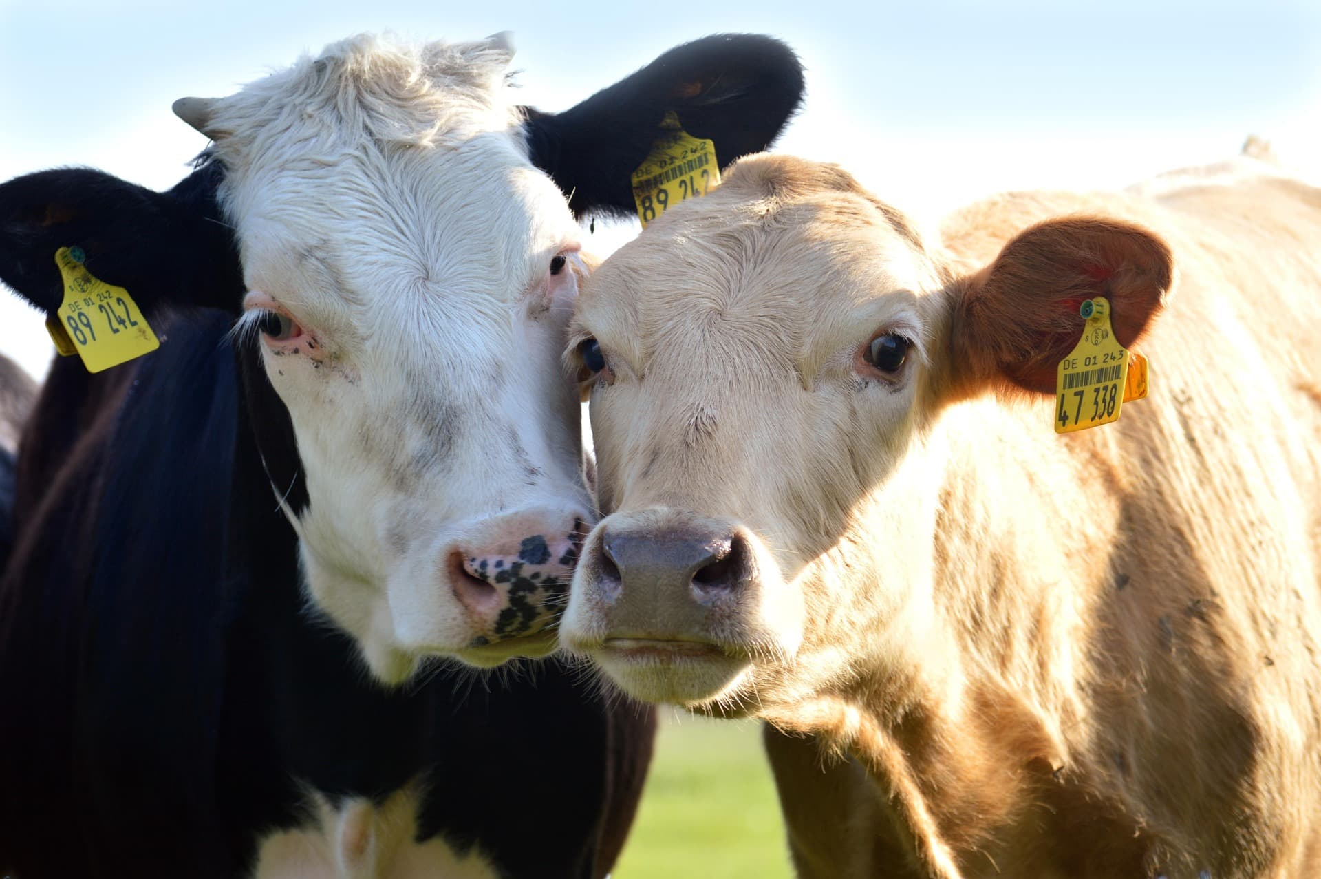 Fahrradroute Lokal verbinden