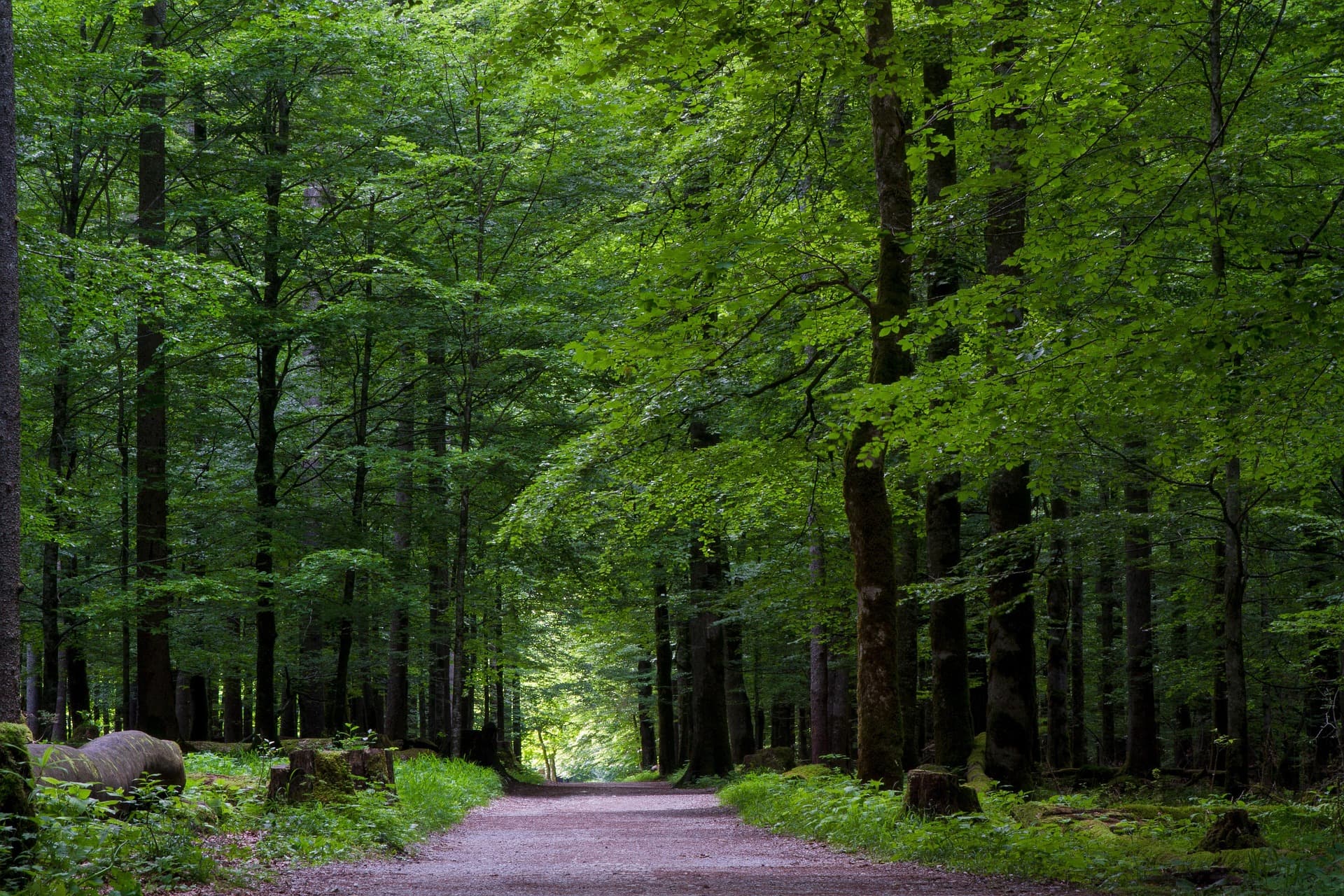 Buitenplaats Oosterhout