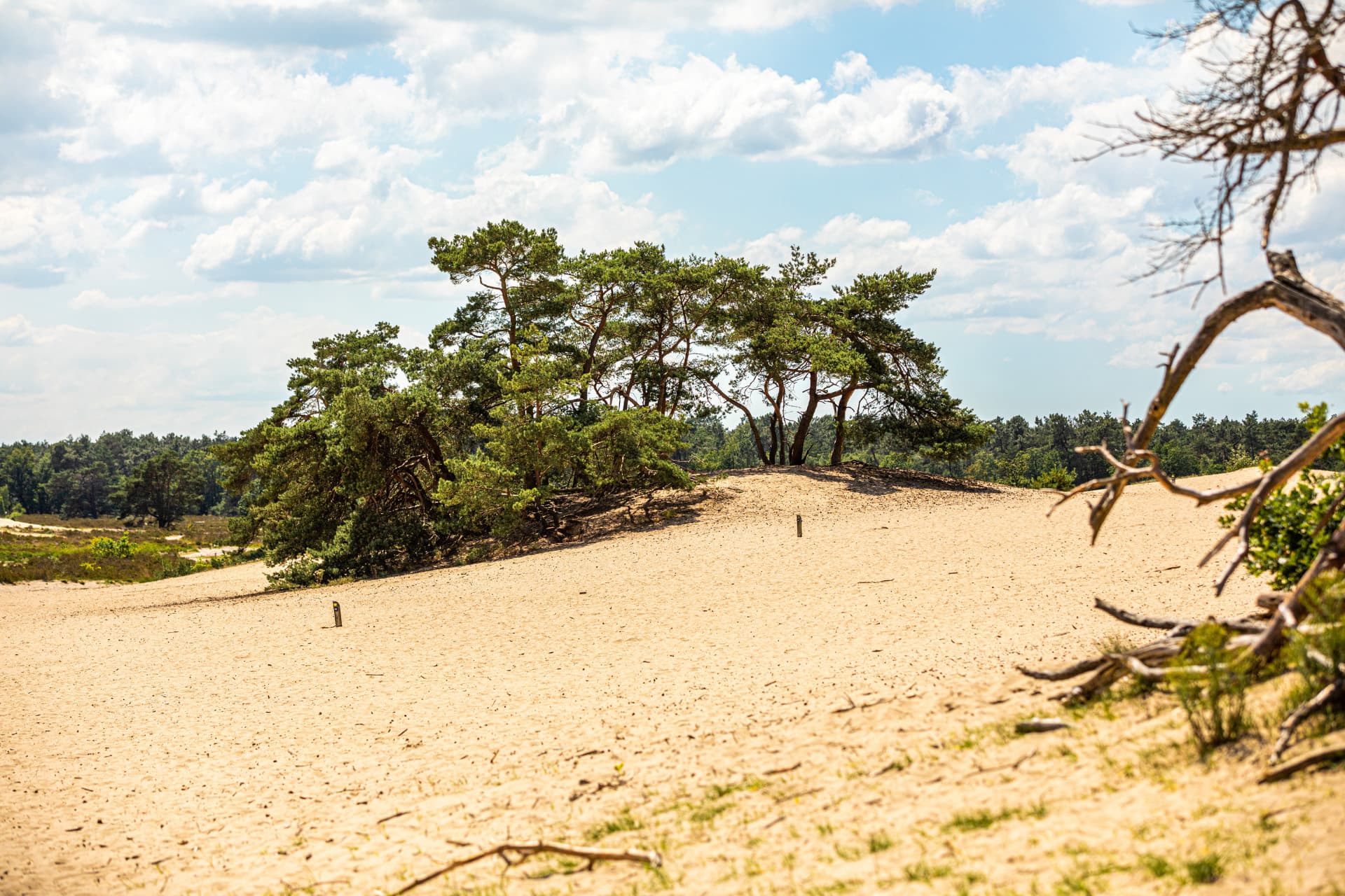Nationaal Park Loonse en Drunense Duinen