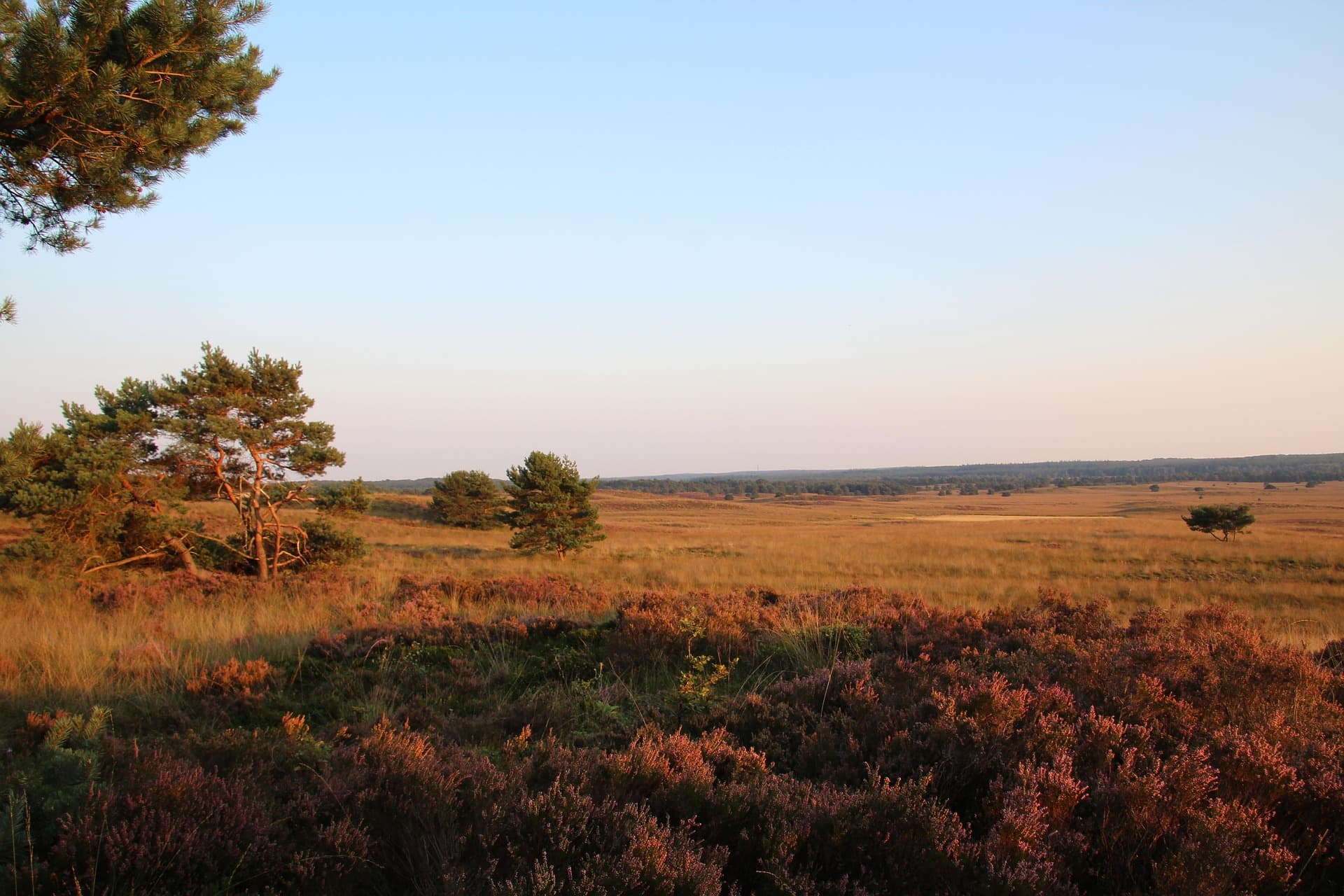 Fahrradroute Vielseitige Veluwe