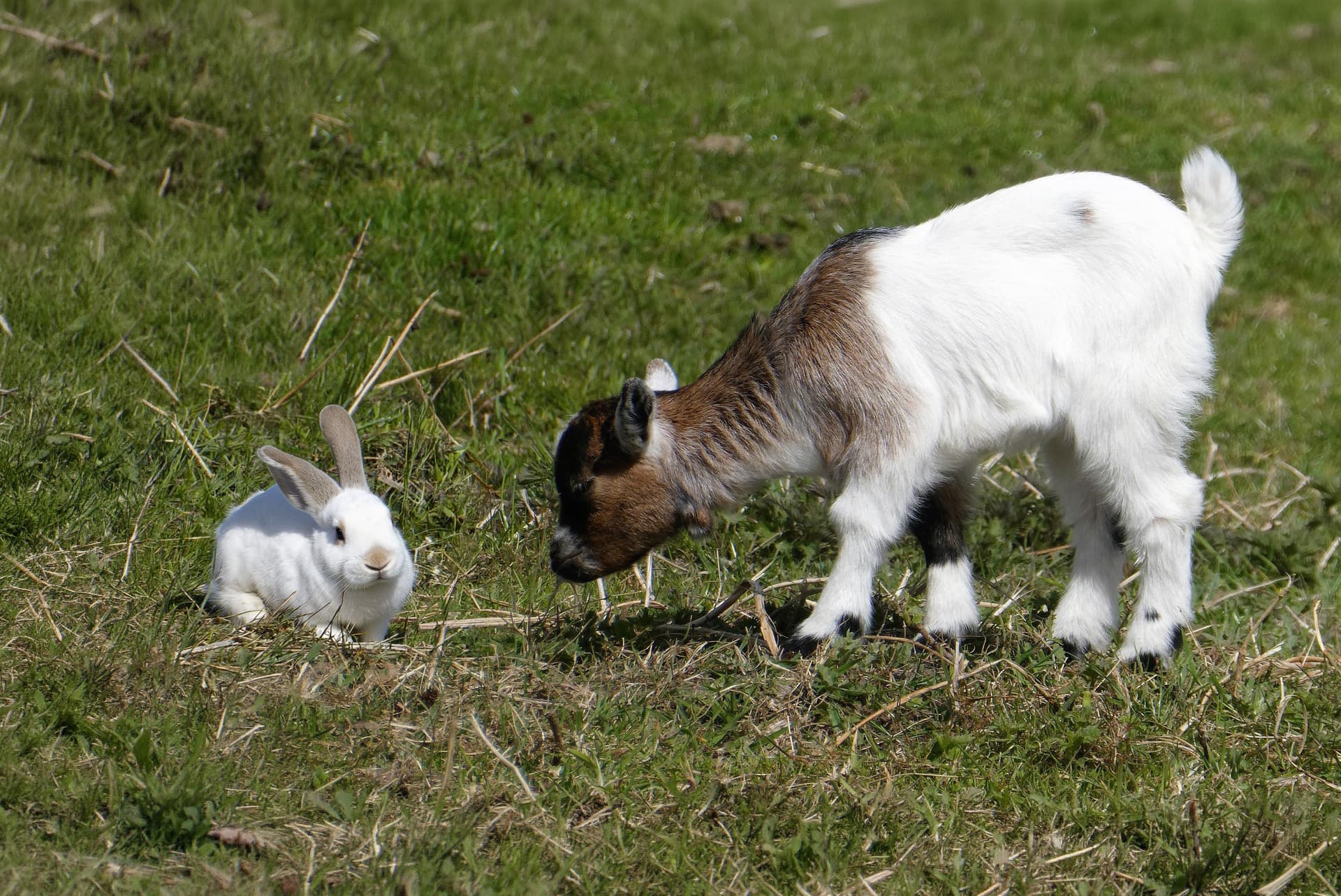 Cheerful cycle route Fun & Adventures in Brabant