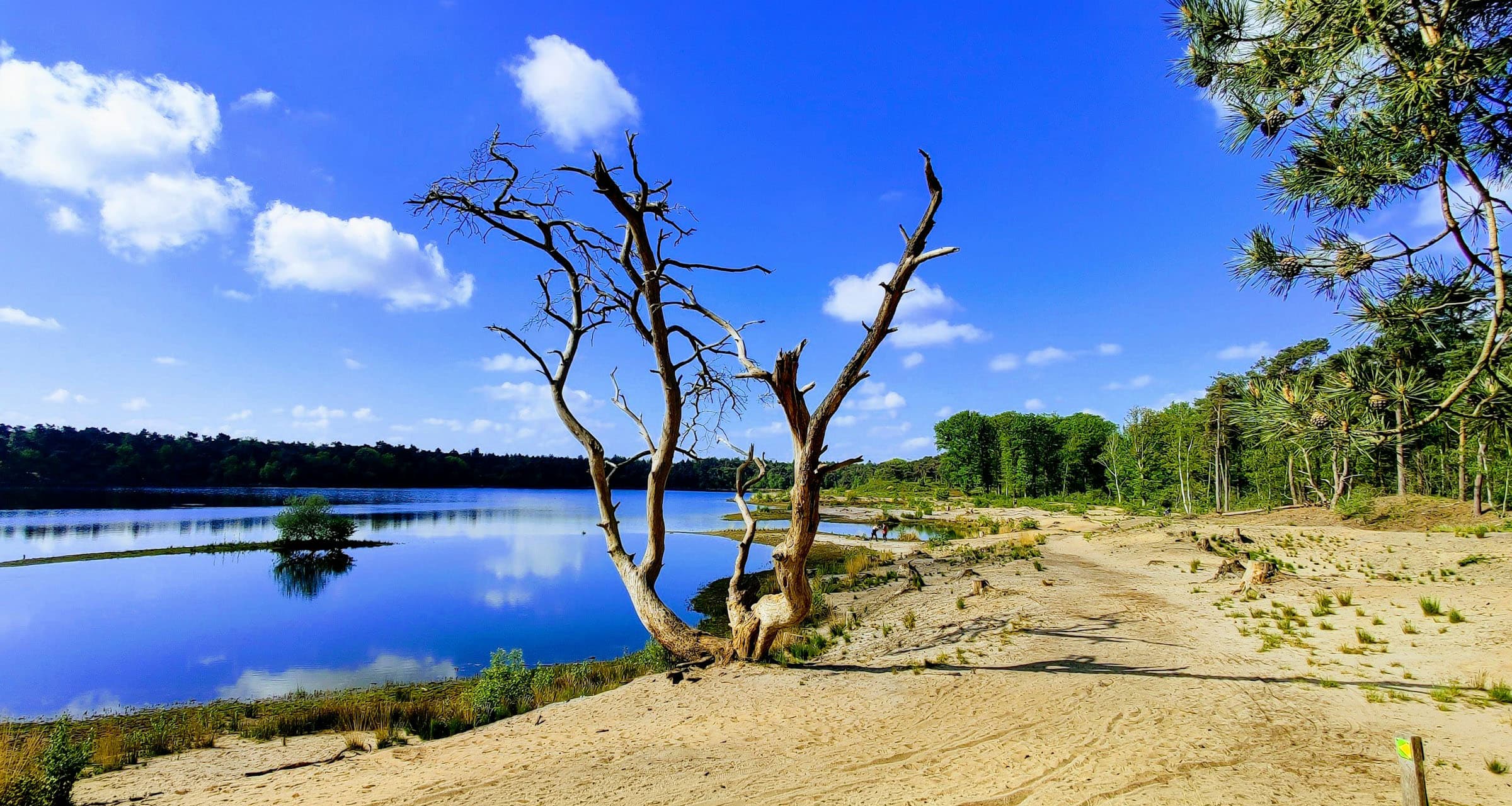Cycle route to the Pearl in the Green