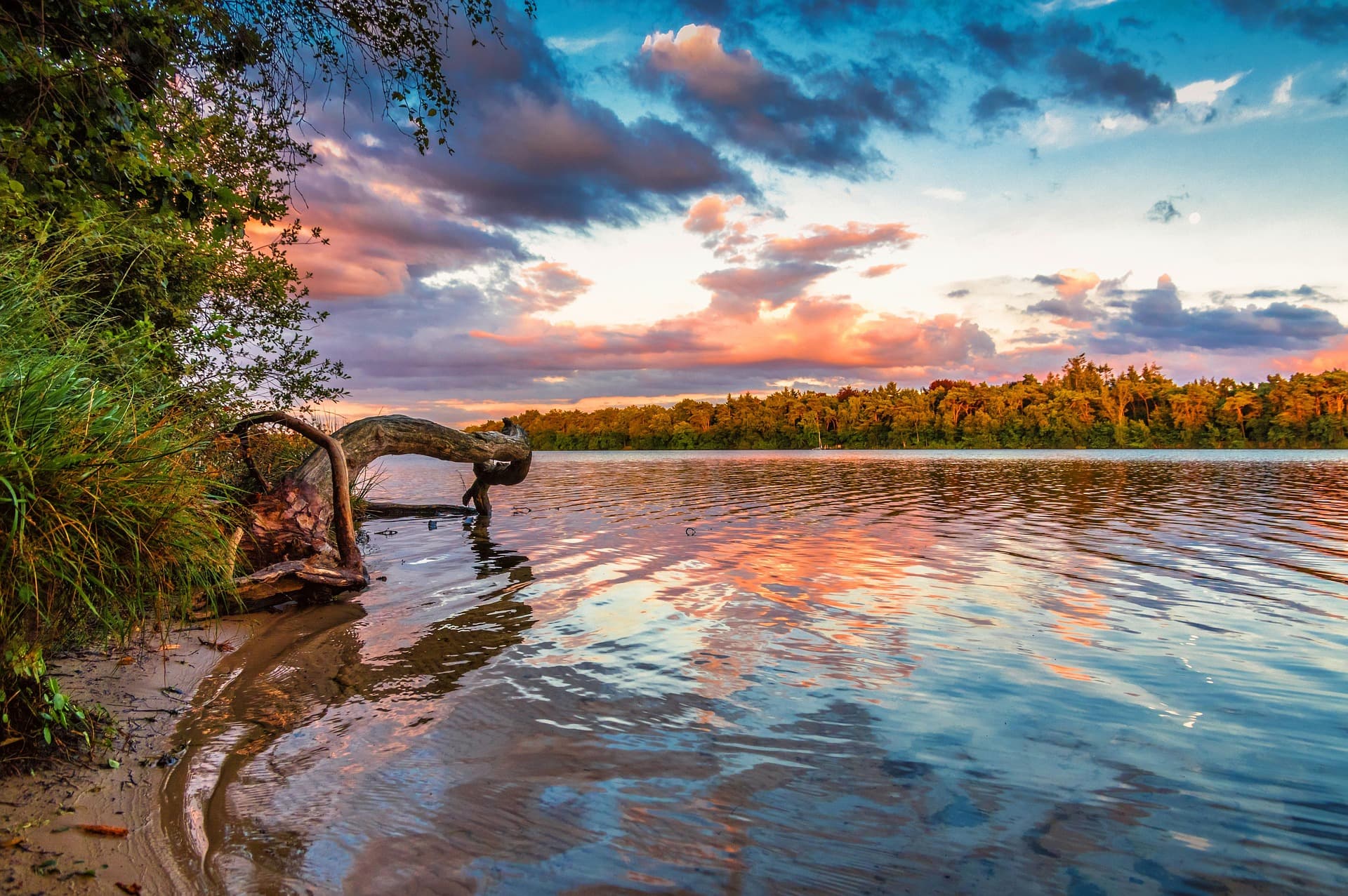 Cycling around De Moerputten