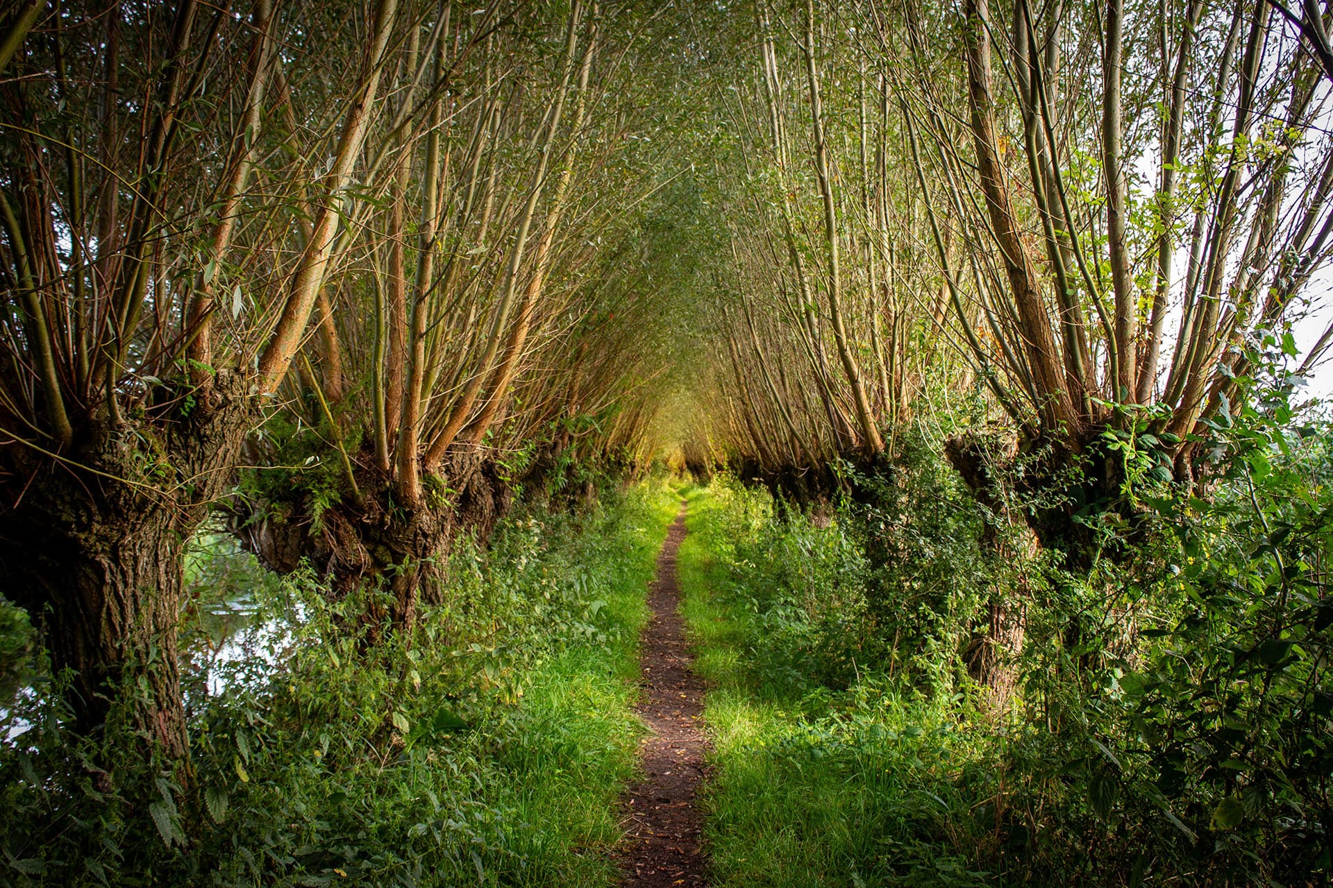 Fietsrondje Zouweboezem