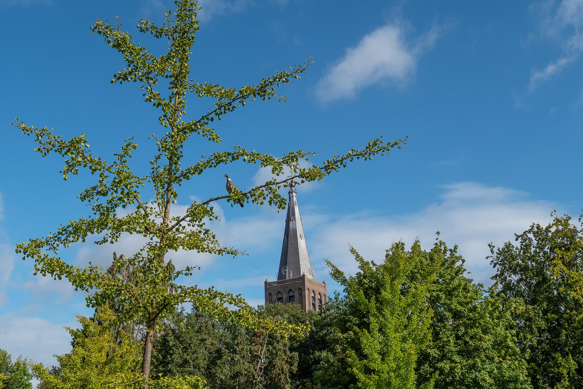 Kerkenpadroute Lievelde, Lichtenvoorde & Groenlo