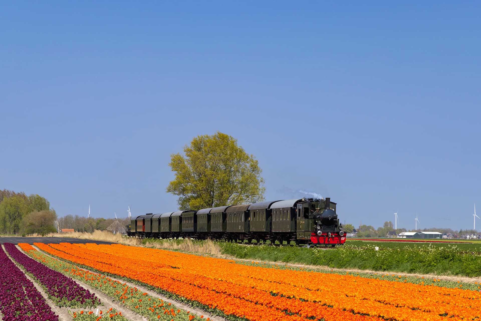Blumenfelderroute bei Hoorn